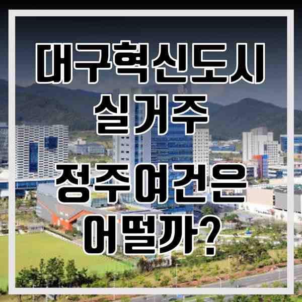 대구혁신도시 실거주