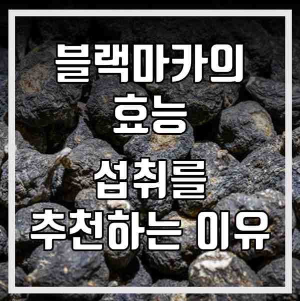 블랙마카 효능 먹는 방법