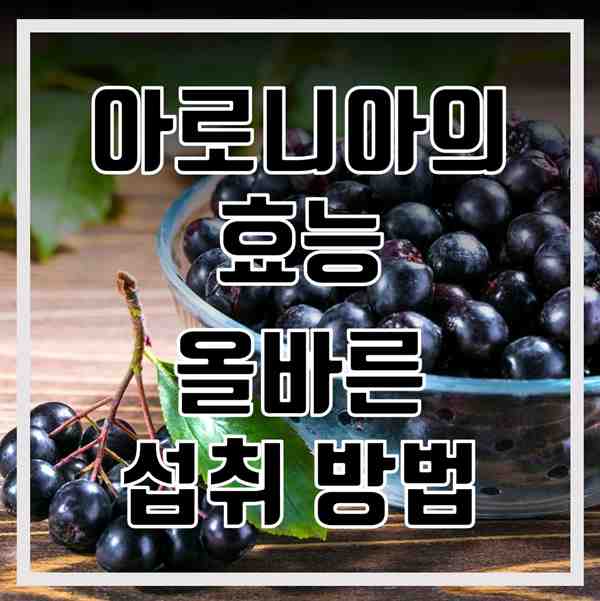 아로니아의 효능